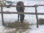 Fotoblog agatalovebursztyn