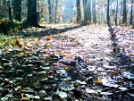 Fotoblog karrolinna