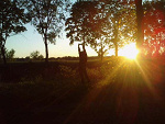 Fotoblog rainblood
