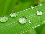 Fotoblog silveralice