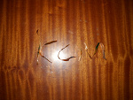 Fotoblog pawelek922
