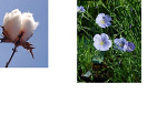 Fotoblog hardkorow