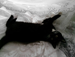 Fotoblog gackto
