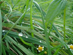Fotoblog amatorkae