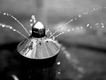 Fotoblog spoilme