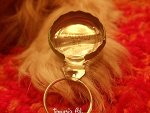 Fotoblog tinqusia