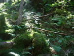 Fotoblog anka81