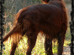 Fotoblog witalina