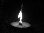 Fotoblog xdummx