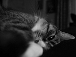 Fotoblog madzia288