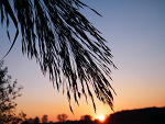 Fotoblog szamaanek