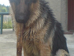 Fotoblog oknex