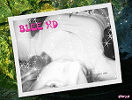 Fotoblog ppchelkaa
