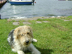 Fotoblog sandra019
