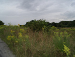 Fotoblog transfuzjad
