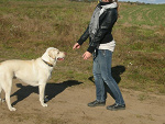 Fotoblog igunia5