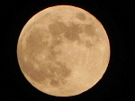 Fotoblog pirat1