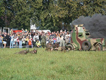 Fotoblog duszek39