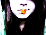 Fotoblog bocianx3