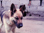 Fotoblog dominika0498