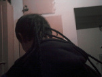 Fotoblog gentelmen11