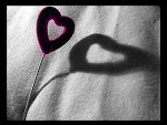 Fotoblog mojedowny
