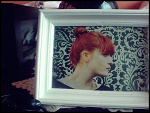 Fotoblog flobsessed