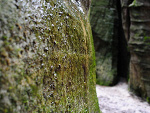 Fotoblog kasper113