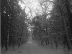 Fotoblog michaaeel