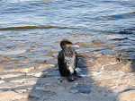 Fotoblog kubixor