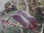 Fotoblog takiemaleusmiechniete