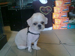 Fotoblog betka12b