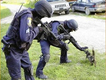 Fotoblog lasiezpodlasia