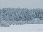 Fotoblog basia72