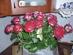 Fotoblog 4evertina