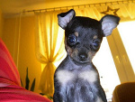Fotoblog malinkowata1