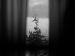 Fotoblog trappedinthebody