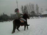 Fotoblog koniowato876