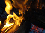 Fotoblog sebol16fl