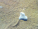 Fotoblog angelxneverxdie