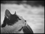 Fotoblog sabiska