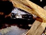 Fotoblog igal22