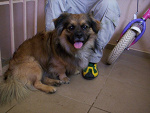Fotoblog skarbekkk