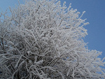 Fotoblog parafara