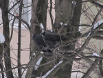 Fotoblog warius15