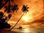 Fotoblog oursweetlife