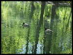 Fotoblog anitka150