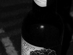 Fotoblog ribu