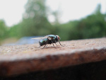 Fotoblog ulicazelkowa