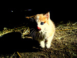 Fotoblog yourtimeisgonnacome